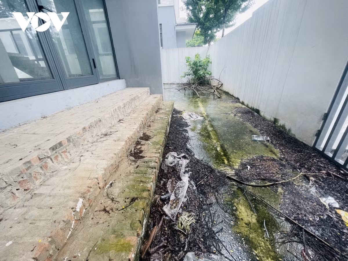 Trước cửa chính của nhiều căn tràn ngập cỏ, rác và đầy rêu phong.