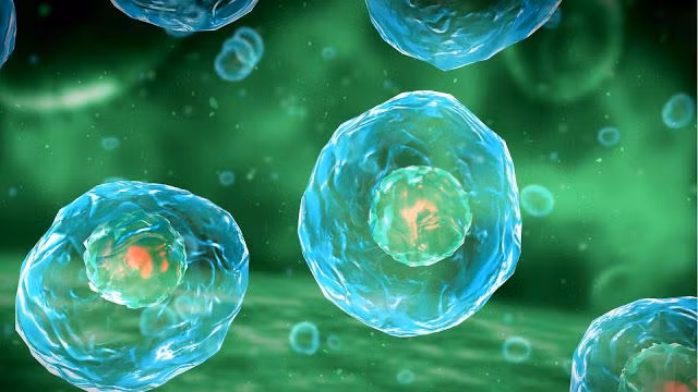  5. Giả thuyết Cấu trúc màng lipid". Giả thuyết này cho rằng sự sống bắt đầu từ các màng lipid đơn giản có khả năng tự tổ chức và hình thành các tế bào tiền thân. Các màng này có thể đã chứa đựng các phân tử sinh học và tạo ra các hệ thống sống sơ khai. Ảnh: Pinterest.