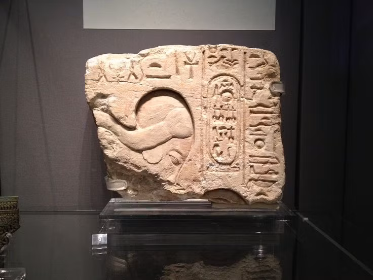  Báu vật Amarna ("Amarna Artifacts"). Tập hợp các tác phẩm điêu khắc độc đáo của thời kỳ Amarna, phản ánh triều những nét đặc sắc về văn hóa và nghệ thuật của Ai Cập cổ dưới sự trị vì của Pharaoh Akhenaten. Ảnh: Pinterest.