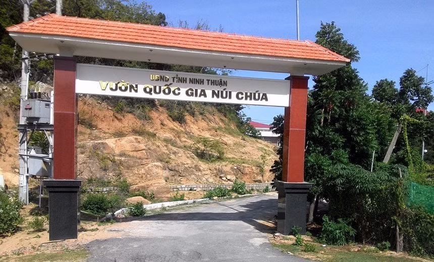Các nhà khoa học Việt Nam và Nga vừa xác định một loài bò sát mới thông qua việc nghiên cứu các mẫu vật thu được trong chuyến khảo sát thực địa của Trung tâm Nhiệt đới Việt - Nga tại Vườn quốc gia Núi Chúa (Ninh Thuận) vào năm 2023. Ảnh: VinWonders.