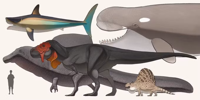  Khoa học và nghiên cứu: Các nhà khoa học sẽ có cơ hội nghiên cứu trực tiếp về khủng long thay vì chỉ dựa vào hóa thạch. Điều này có thể mở ra nhiều kiến thức mới về tiến hóa, sinh học và sự phát triển của các loài động vật trên Trái đất. Ảnh: Pinterest.