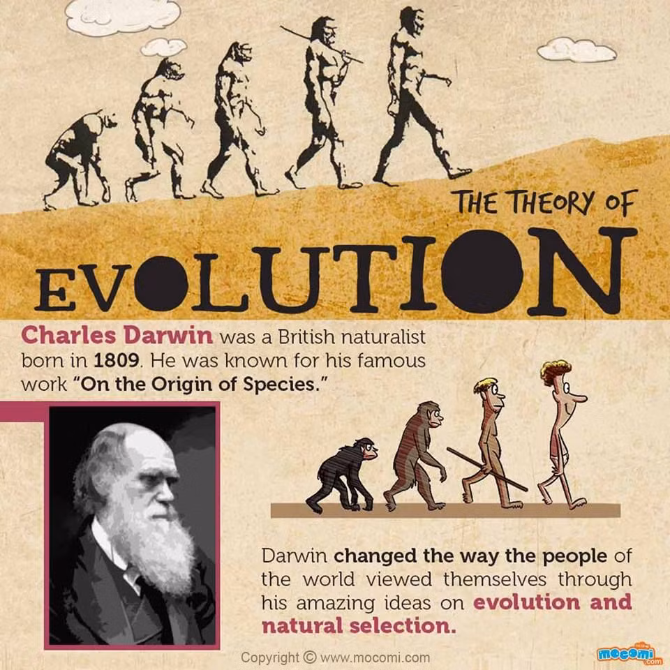  Không phải Darwin là người đầu tiên nghĩ về tiến hóa. Trước Darwin, đã có nhiều nhà tư tưởng như Jean-Baptiste Lamarck, người cũng đề xuất rằng sinh vật có thể thay đổi theo thời gian. Ảnh: Pinterest.