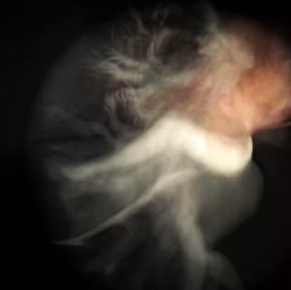 Ở series ảnh thử nghiệm mang tên "In Dreams" (Trong những giấc mơ), nghệ sĩ thị giác Kalliope Amorphous sử dụng kỹ thuật phơi sáng chồng nhằm "đóng băng" khoảnh khắc hoạt động của con người. Kết quả mang đến những tấm ảnh ma quái ghi lại "làn khói di chuyển" - được cho là giống như trong các giấc mơ hư ảo. Vậy chúng ta biết gì về giấc mơ?
