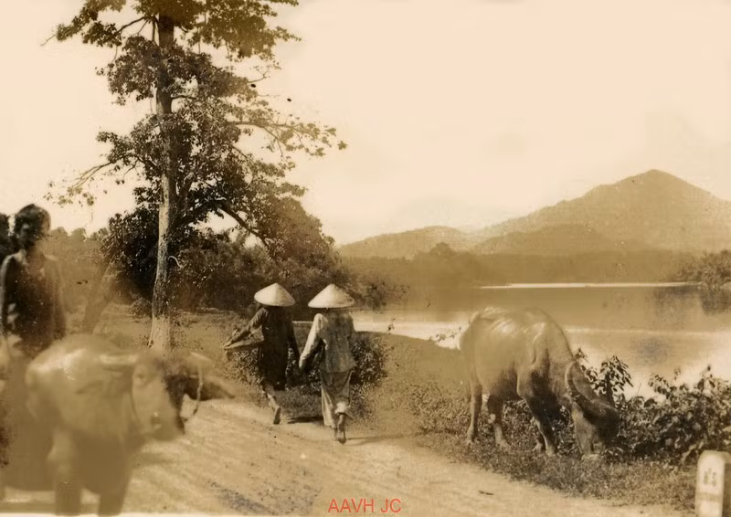 Con đường ven sông Hương, 1946.