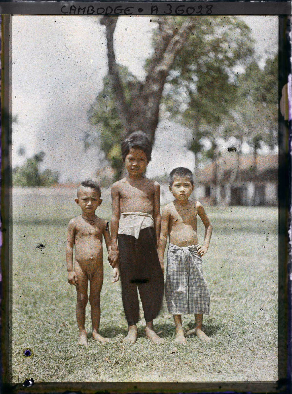 Ba đứa trẻ trên thảm cỏ.