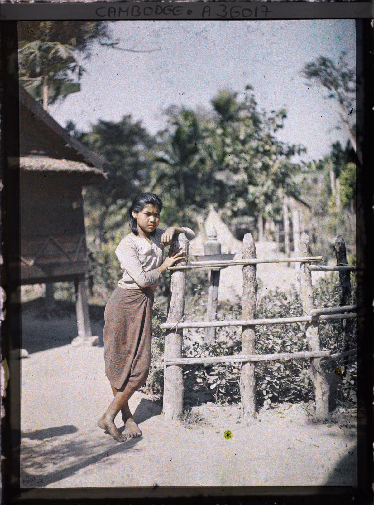 Cô thôn nữ tựa vào hàng rào bằng gỗ.