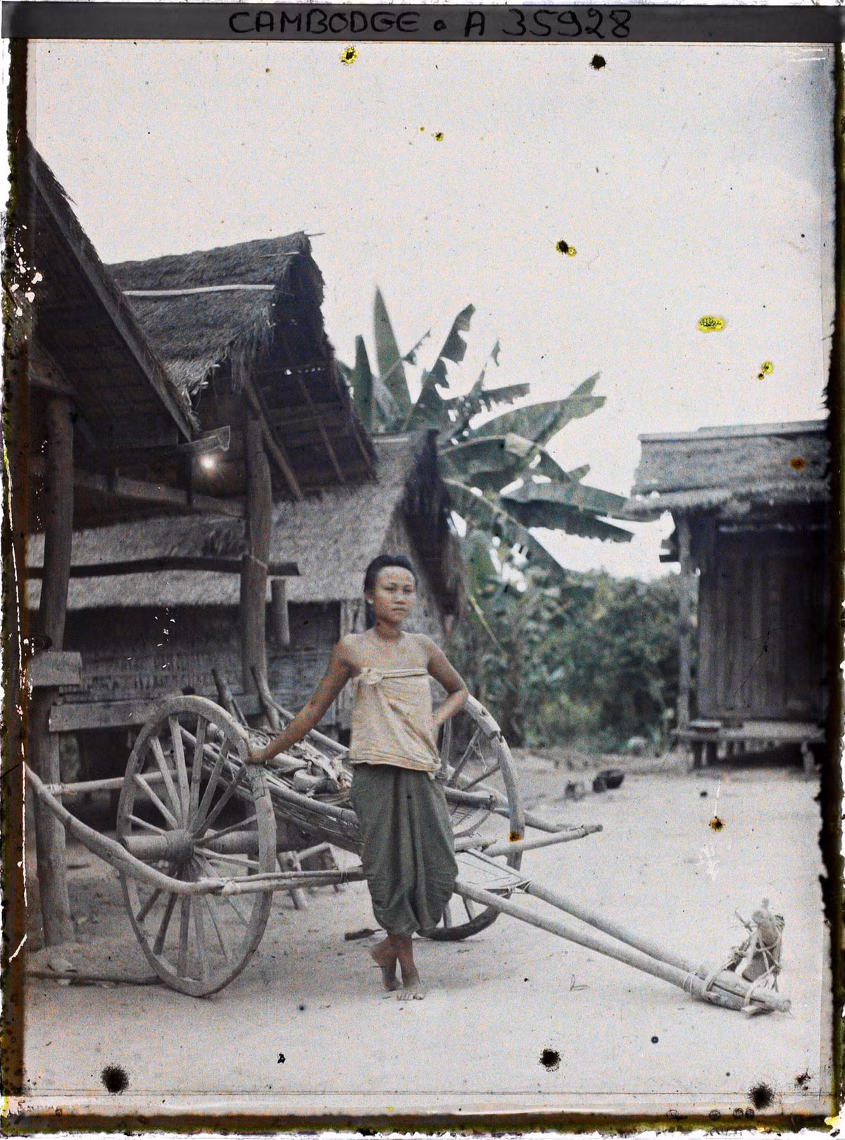 Người phụ nữ đứng bên chiếc xe bò kéo.