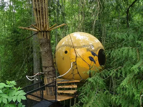 Free Spirit Sphere, British Columbia, Canada. Nằm lơ lửng trên cây, Free Spirit Sphere đảo Vancouver được xem là nhãn cầu khổng lồ nhìn vào sâu trong rừng của Columbia. Để bước vào bên trong, du khách phải đi theo đường cầu thang dây xoắn ốc chỉ bao gồm một giường và tủ.
