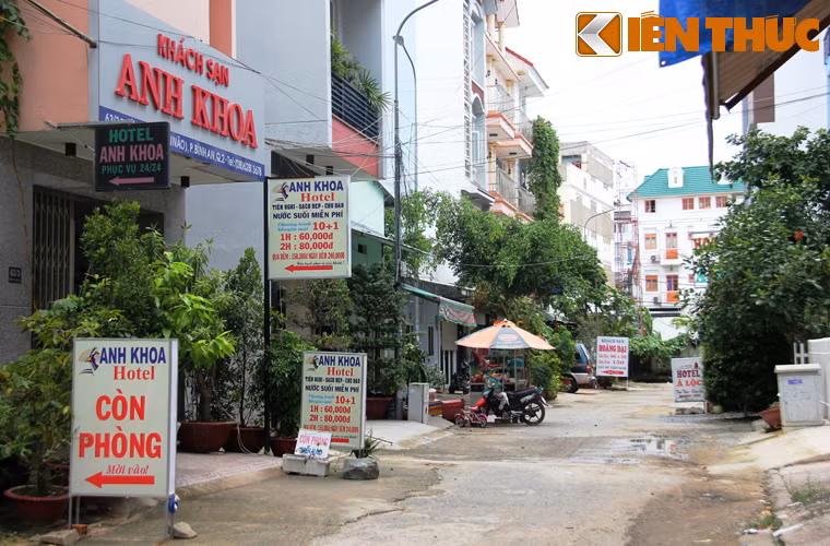 Theo điều tra ban đầu, 4 gái bán dâm bị bắt tại KS nói trên là tiếp viên quán Thu Ti và 3 gái bán dâm khác bị bắt cùng ngày tại nhà hàng Hương Lúa (đường Trần Não, phường Bình An) do Mỹ Ái; Cẩm Tú quản lý, môi giới đi bán dâm với khách và 2 nhà hàng này đổi "đào" qua lại để phục vụ "thượng đế". Cách các quán nhậu dày đặc trên đường Trần Não không xa là hàng chục nhà nghỉ, khách sạn mọc đầy trong KDC Hải Quân ven sông Sài Gòn.