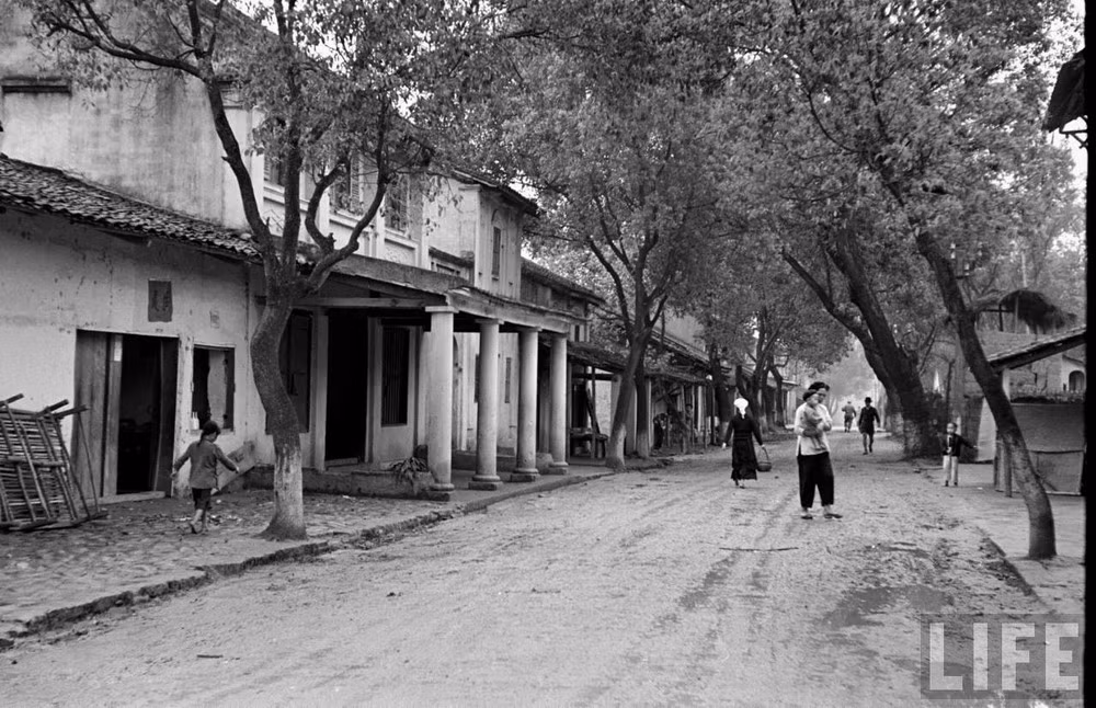 Khung cảnh bình dị trên một con đường.