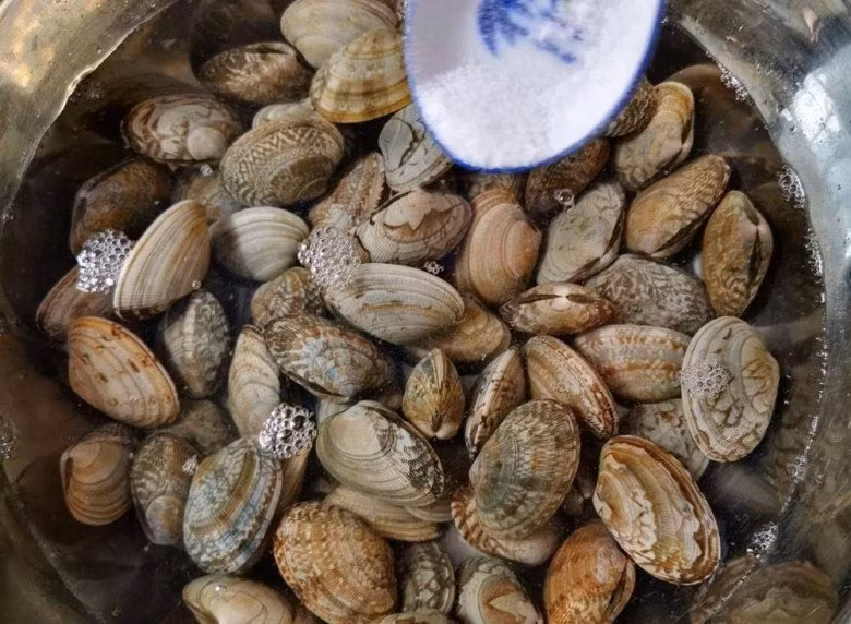 Ngao mua ve ngam voi nuoc nay chi 10 phut la sach-Hinh-2