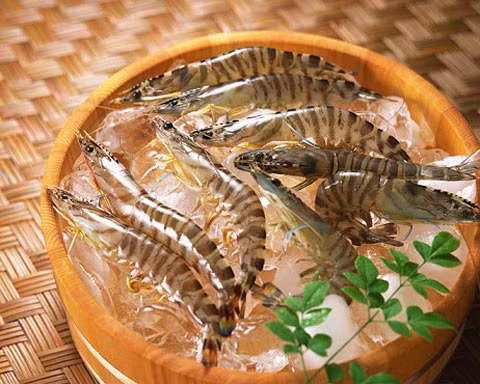Kiêng cho bé ăn đồ ăn tanh khi bị đau mắt đỏ. Quan niệm dân gian cho rằng, đồ ăn tanh như hải sản có thể tác động xấu vào tình trạng của viêm kết mạc. Do đó, người bệnh đau mắt đỏ cần kiêng ăn đồ ăn tanh trong thời gian mắc bệnh.