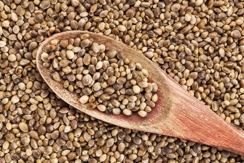 Dầu gai dầu. Đây không chỉ là nguồn cung cấp phong phú các axit Omega-3, Omega-6, mà còn rất giàu vitamin E có tác dụng chống oxy hóa mạnh mẽ, loại bỏ các chất béo dư thừa rất hiệu quả.