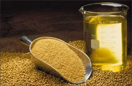 Dầu đậu nành hàm lượng oleic cao. Không chỉ có tỷ lệ chất béo bão hòa thấp, loại dầu ăn này còn chứa lượng chất béo không bão hòa đơn (một loại chất béo không làm bạn tăng cân) gấp 3 lần so với dầu đậu nành thông thường. Vì vậy nó thực sự tốt để nấu ăn hàng ngày.