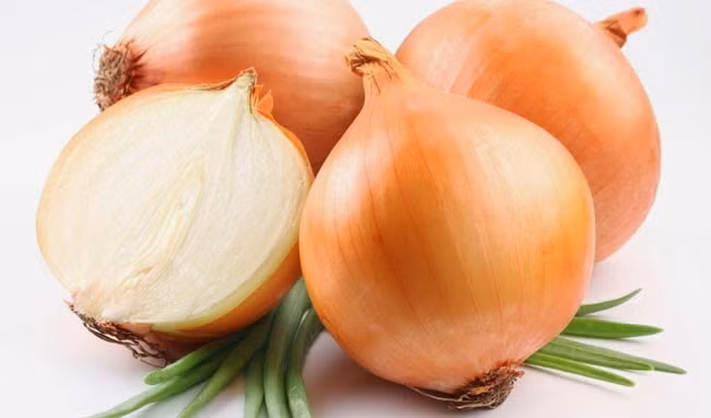 Hành tây trị sẹo mụn. Theo các nghiên cứu mới đây thì việc sử dụng hành tây sẽ có tác dụng rất tốt trong việc điều trị sẹo mụn trứng cá. Chiết xuất từ hành tây sẽ liên kết với các collagen dư thừa, nhờ thế sẽ dàn xếp chúng lại một cách có trật tự hơn. Điều này sẽ giúp giảm thiểu được tình trạng sẹo trên mặt. Ngoài ra, hành tây cũng được chứng minh là giúp giảm viêm và giảm vết thâm do mụn. Vì thế rất có lợi cho những ai vừa hoàn thành đợt điều trị mụn trứng cá.