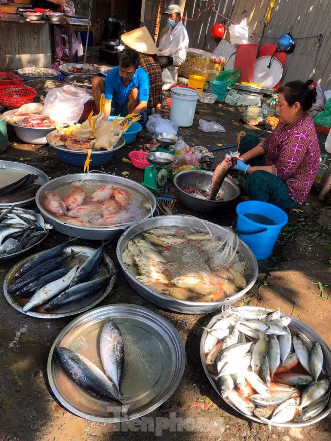 Người bán cá ngồi san sát nhau và đều không đeo khẩu trang.