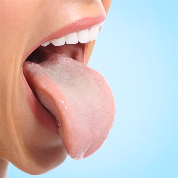 7. Cơ thể bạn là một cỗ máy sản xuất dịch nhầy. Trung bình, cơ thể 1 người lớn sản xuất 1,5 lít dịch nhầy mỗi ngày. Chúng ta đã nuốt hết phần lớn số đómà không chú ý đến nó. Ngoài ra, một cơ thể cũng sản xuất một lít nước bọt, 3 lítdịchdạ dày, 3,5 lít dịch đường ruột và một lít mật.