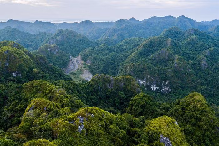 VƯỜN QUỐC GIA CÁT BÀ, VIỆT NAM. Với tổng diện tích lên tới 15.200 ha, vườn quốc gia Cát Bà là một trong những khu dự trữ sinh quyển lớn của thế giới được UNESCO công nhận. Đây cũng là một điểm đến lý tưởng cho các chuyến du thuyền cỡ nhỏ tham quan những đảo đá vôi độc đáo cùng hệ thống động thực vật đa dạng. Thời gian tốt nhất để ghé thăm: Tháng 4-Tháng 5, Tháng 9-Tháng 11.