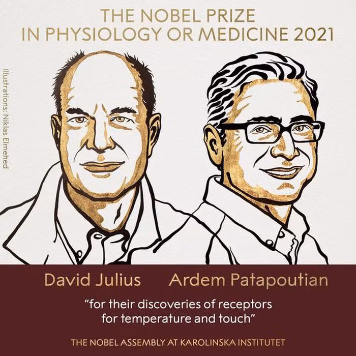 Chan dung hai nha khoa hoc My doat giai Nobel Y hoc 2021