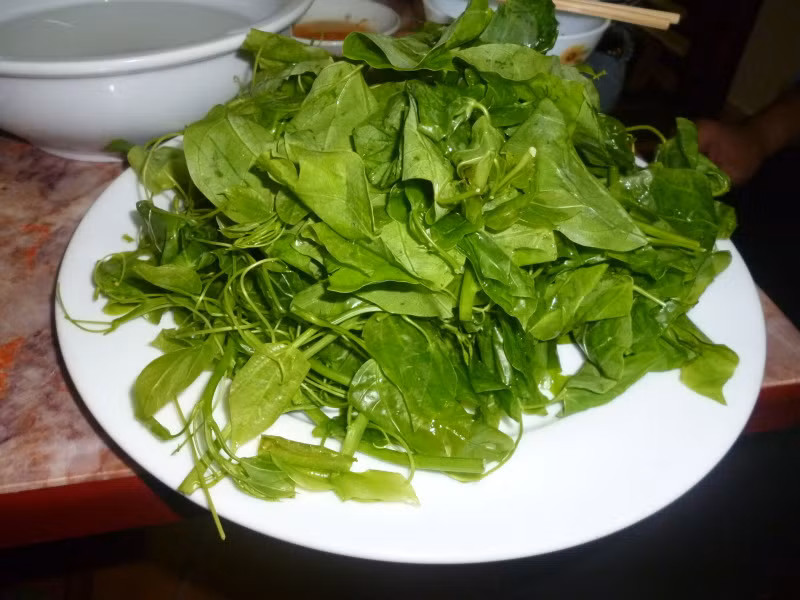 Điều đặc biệt của loại rau rừng này là dù rất ngon và giàu dinh dưỡng nhưng sau khi ăn, nước tiểu thường có mùi khai.