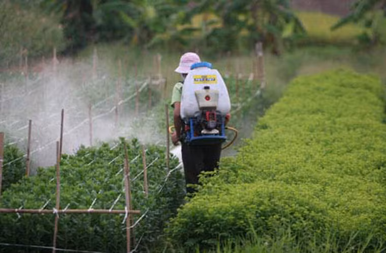 Rau xanh “ngậm” thuốc sâu. Chỉ khi những người làm vườn có lương tâm sử dụng thuốc trừ sâu theo chỉ định thì bạn mới nên nuôi hy vọng rửa sạch. Ngược lại, tiêu thụ loại rau vừa phun thuốc trừ sâu; phân bón, bạn dễ dàng chịu những tác động tiêu cực từ chúng.