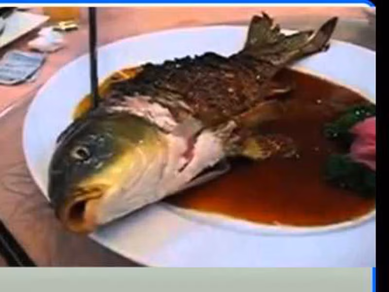 Cá âm dương bắt nguồn từ văn hóa ẩm thực Trung Quốc. Ở đây, người ta tin rằng ăn những chú cá chép “sống dở chết dở” mới thực sự đại bổ; giúp người thưởng thức hấp thu toàn bộ tinh hoa của chúng.