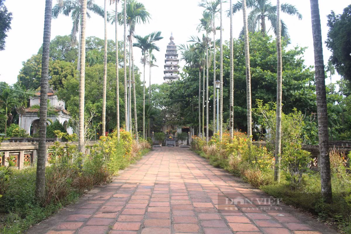 Hiện nay, chùa Phổ Minh là 1 địa điểm du lịch tâm linh hấp dẫn, thu hút đông đảo du khách trong và ngoài nước đến thăm quan, chiêm bái. Ảnh: Dân Việt