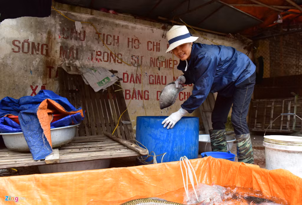 Một người bán cá ở chợ Đồng Tâm mấy ngày qua bỏ công việc, không làm gì; đến sáng nay chị đã bán hàng trở lại. Chị cho biết hôm nay nhiều người mua cá, thịt, để liên hoan nên rất đắt hàng.