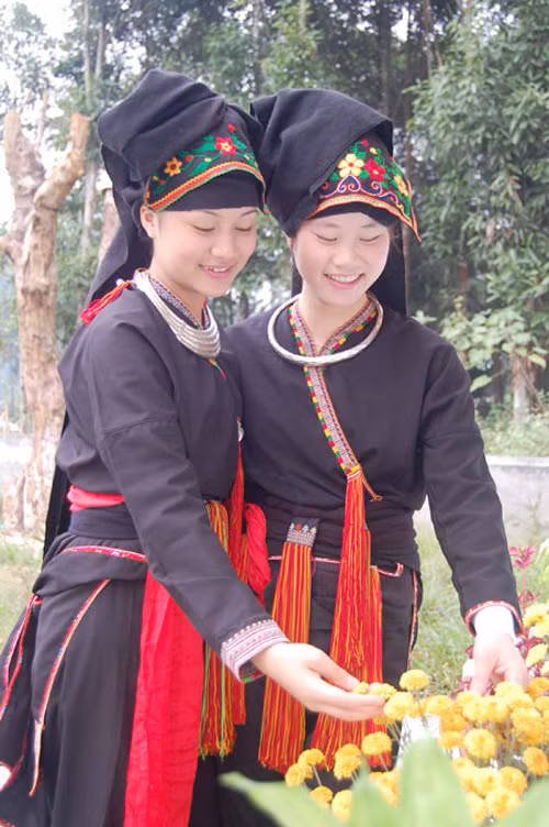 Một bộ trang phục hoàn chỉnh của người Dao gồm: áo, yếm, xà cạp, cùng đồ trang sức vàng bạc, khăn vấn đầu... Trong bộ y phục của phụ nữ quan trọng nhất là chiếc áo được thiết kế dài đến gần đầu gối. Cổ áo được thiết kế theo hình chữ V có thêu hoa văn. Áo người Dao có hai tà và phần cầu kỳ nhất để làm nên sự độc đáo của chiếc áo là những nét hoa văn được thêu ở phần đuôi áo.