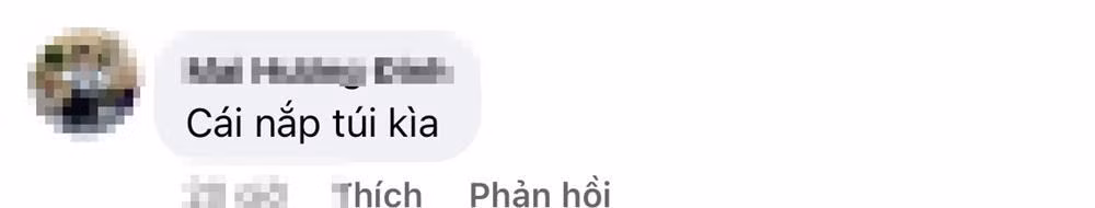 Huong Giang cam tui 600 trieu 'moi trom xoi' khien fan lo nom nop-Hinh-7