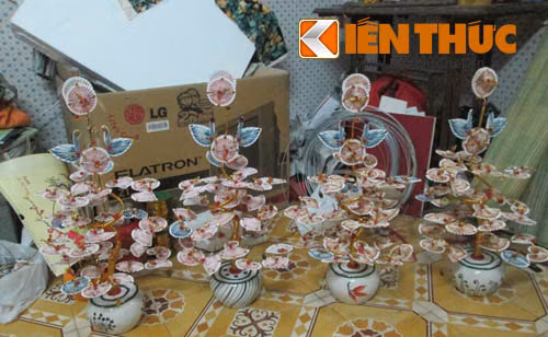 Cây tiền thật trang trí Tết nổi như cồn có phạm luật? - Hình 3 Cay tien that trang tri Tet noi nhu con co pham luat?-Hinh-3