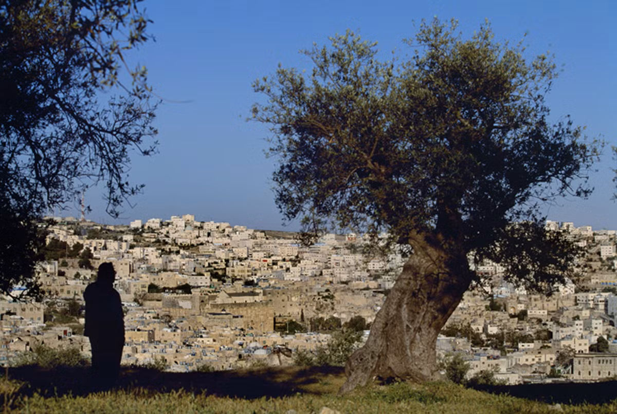  3. Thị trấn cổ Hebron/Al-Khalil (Palestine) còn giữ được nhiều công trình xây dựng bằng đá vôi có từ thời Mamluk, niên đại khoảng từ năm1250-1517. Ảnh: UNESCO.