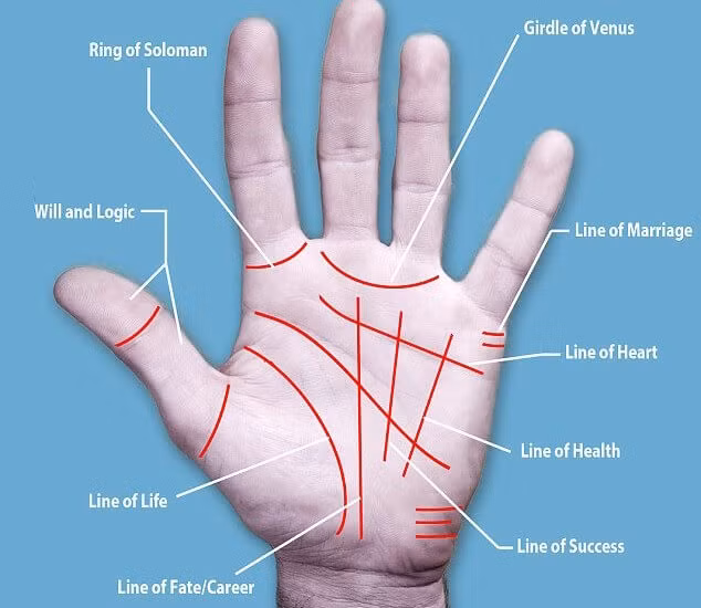 7. Bói chỉ tay là phương pháp bói toán có nguồn gốc từ nền văn hóa Hy Lạp cổ đại, từng được thực hành bởi nhiều nhân vật lịch sử nổi tiếng như Pythagoras, Hippocrates và Julius Caesar. Ngày nay, thuật bói toàn này được áp dụng rộng rãi trên toàn thế giới. Ảnh: Scoopif.