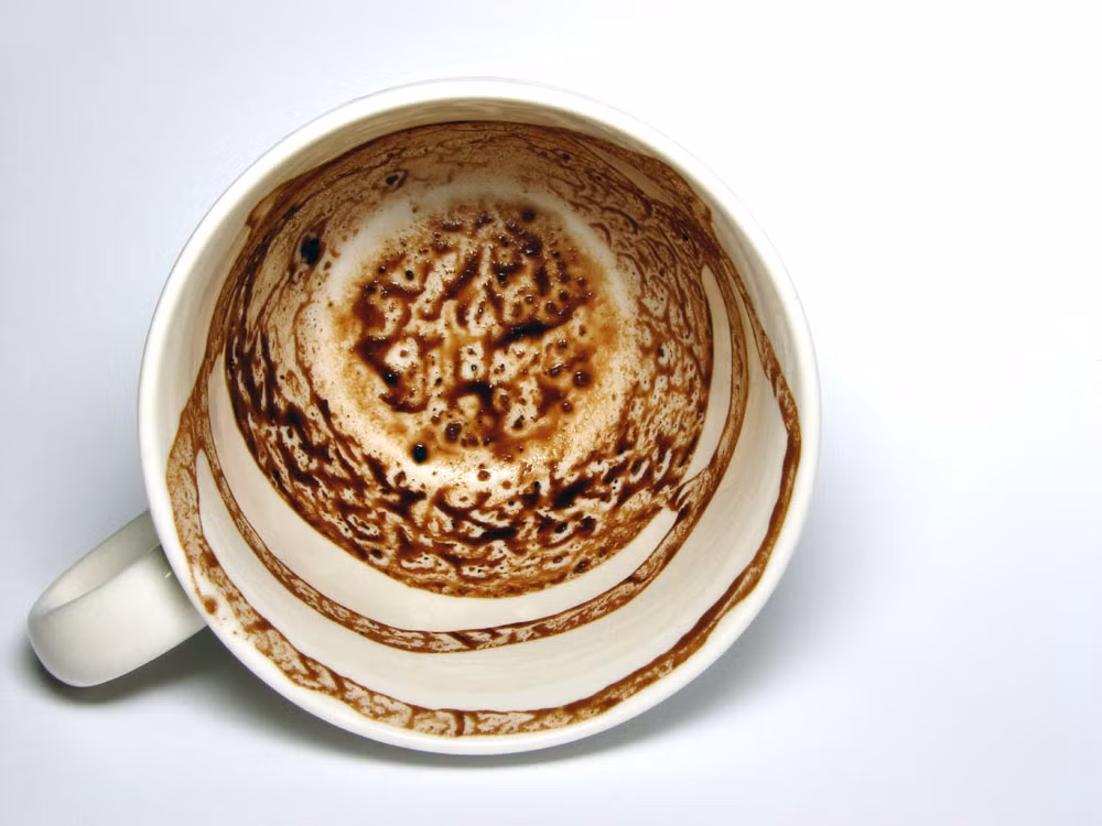 Image result for Turkey – Coffee Cup Reading'