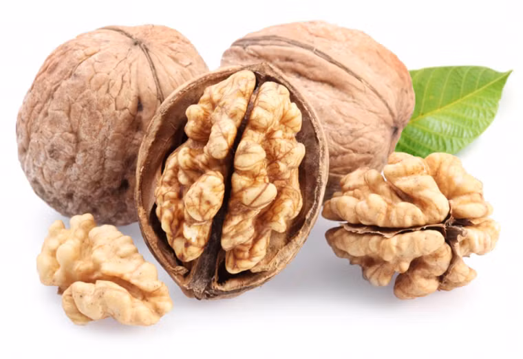 Bên cạnh đó, quả óc chó cũng có đặc tính chống viêm góp phần giảm kích thước khối u. Không cần ăn quá nhiều, bạn chỉ cần thưởng thức khoảng 1 chén nhỏ ruột óc chó là bạn có thể nạp khoảng 5g chất xơ và hơn 500 calo góp phần ngừa ung thư hiệu quả.