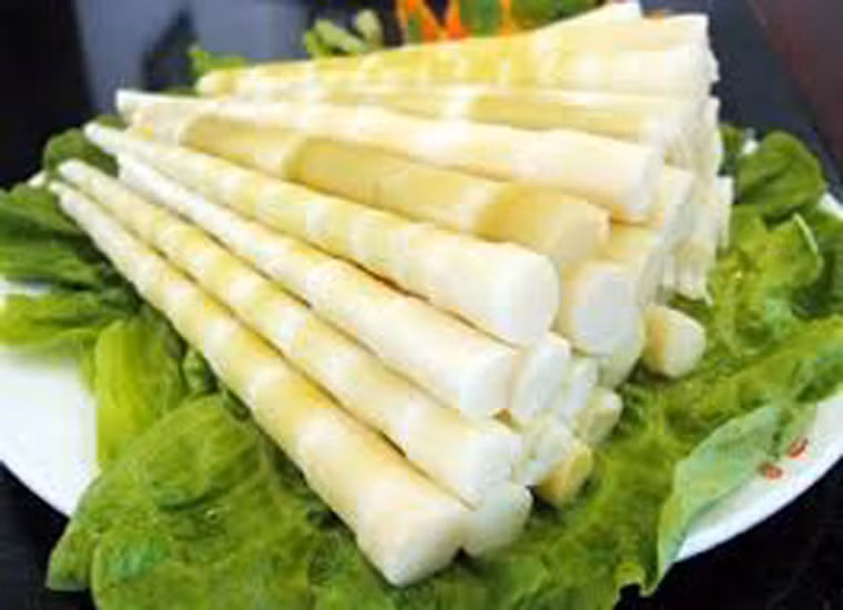 Măng đắng. Mùa xuân với làn mưa lất phất cũng là lúc người dân Quan Sơn, Quan Hóa, Bá Thước (Thanh Hóa) vào rừng bẻ măng. Muốn có bồ măng ngon cần hái khi búp chỉ vừa dài bằng gang tay. Để măng lên cao, vị đắng sẽ không bùi, ngọt như trước.