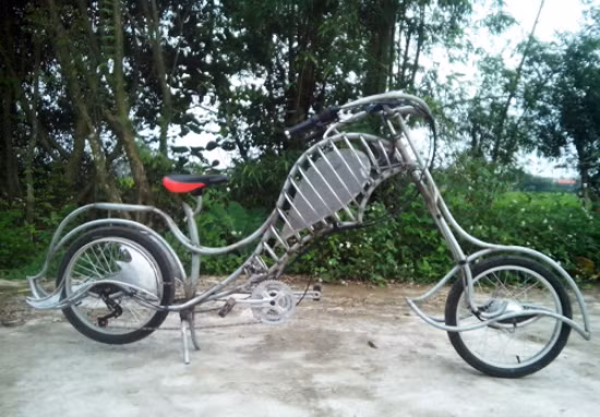 Xe đạp hình xương cá: Mẫu xe đạp có hình khung xương cá này là kết quả sáng tạo của hai người thợ cơ khí tại Trực Ninh (Nam Định, Việt Nam).