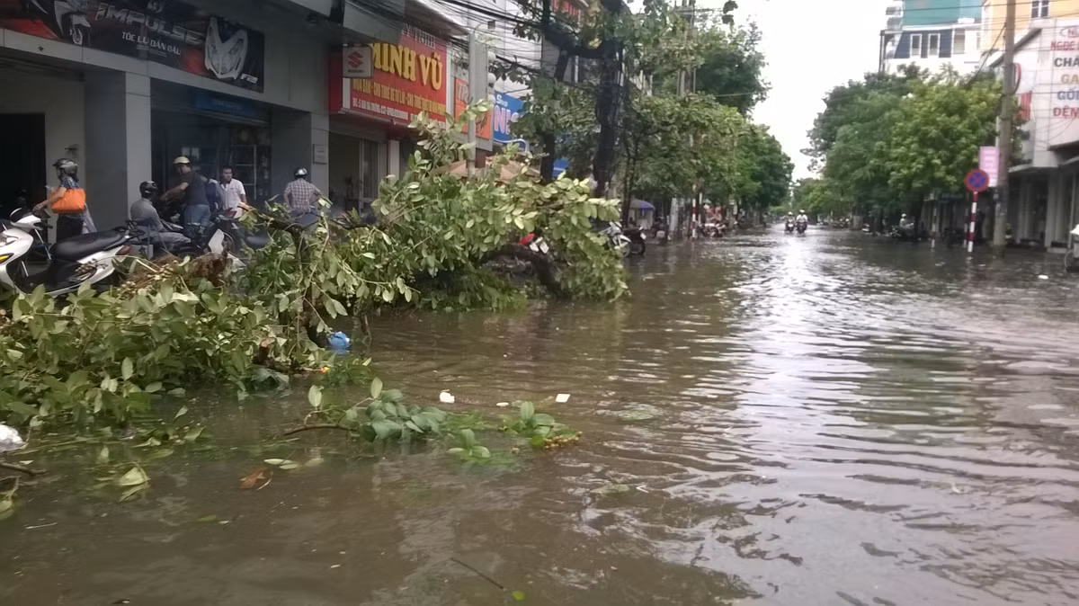 Nằm ngả nghiêng trên nước.