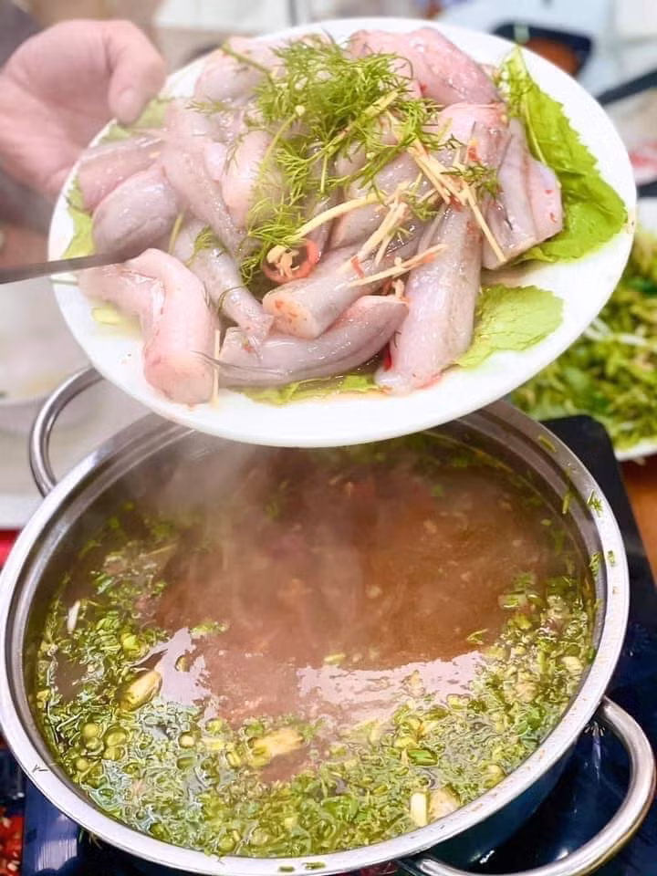 Loại cá đặc sản ở quê rẻ như cho, lên phố 250.000 đồng/kg - Hình 3 Loai ca dac san o que re nhu cho, len pho 250.000 dong/kg-Hinh-3