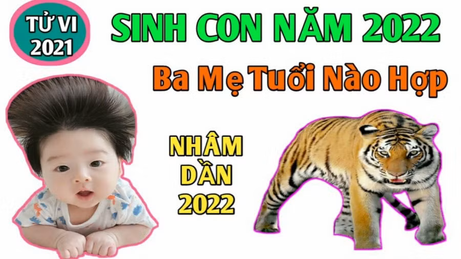Bố mẹ tuổi này sinh con Nhâm Dần 2022 cực hợp, làm gì cũng phát Bo me tuoi nay sinh con Nham Dan 2022 cuc hop, lam gi cung phat