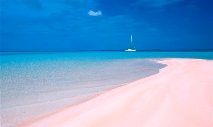 Nằm ở phía tây bắc của đảo Eleuthera ở Bahamas, Harbour Island là một trong những bãi biển nổi tiếng với cát hồng, bãi biển dài, các rạn san hô đầy màu sắc và nước trong như pha lê.