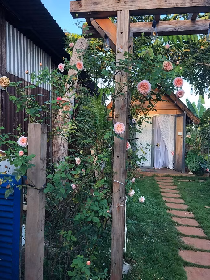 Ngôi nhà hoa hồng rộng 15m2 của vợ chồng trẻ ở Vũng Tàu ảnh 6