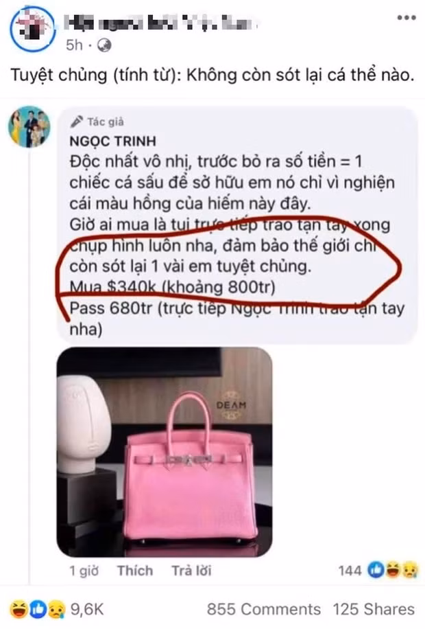 Chưa hết, người đẹp còn bị soi "content" đăng bán hàng dùng từ "tuyệt chủng" nhưng lại còn sót lại một vài em túi Hermes. Trong khi đó, tuyệt chủng mang nghĩa không còn sót lại cá thể nào.