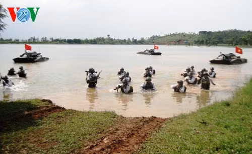 Hiệp đồng chiến đấu.