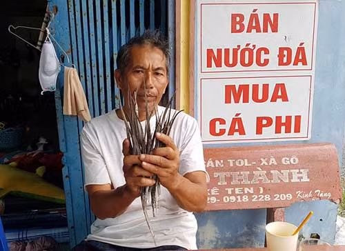 Ông Dũng thu mua cá lìm kìm gai theo đặt cọc của nhiều thương lái. Ảnh tư liệu.