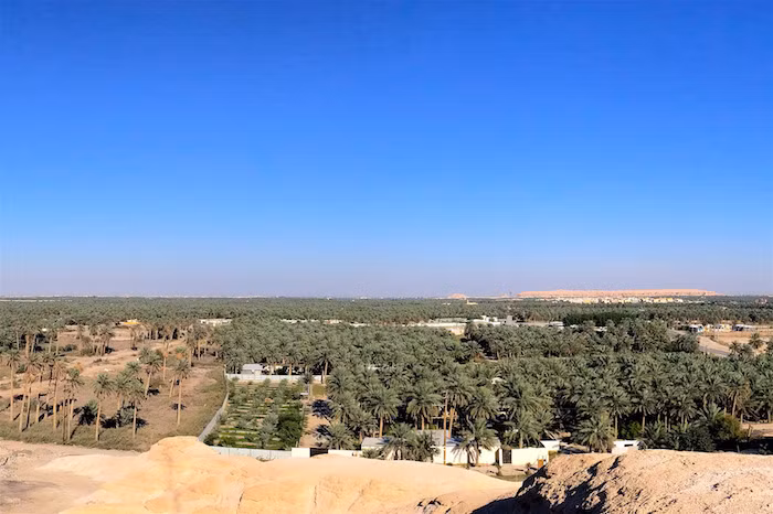  19. Ốc đảo Al-Ahsa (Ả Rập Saudi). Al-Ahsa là ốc đảo lớn nhất thế giới. Vùng đất này là nơi cư ngụ của con người từ thời đồ đá mới cho đến thời hiện đại, với nhiều truyền thống văn hóa đặc sắc được lưu giữ.