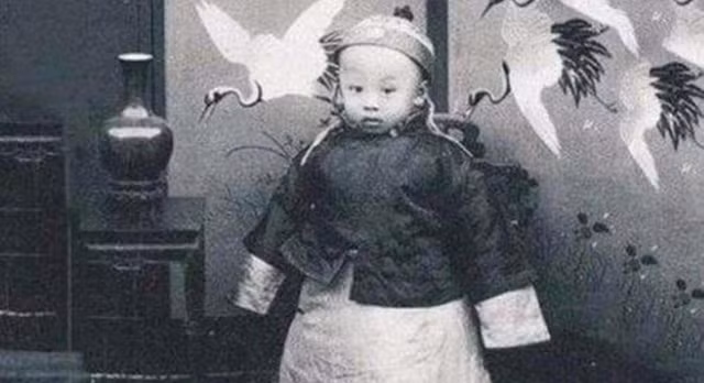 Hoàng đế nhà Thanh nào lên ngôi 3 ngày thì bị phế? - Hình 3 Hoang de nha Thanh nao len ngoi 3 ngay thi bi phe?-Hinh-3