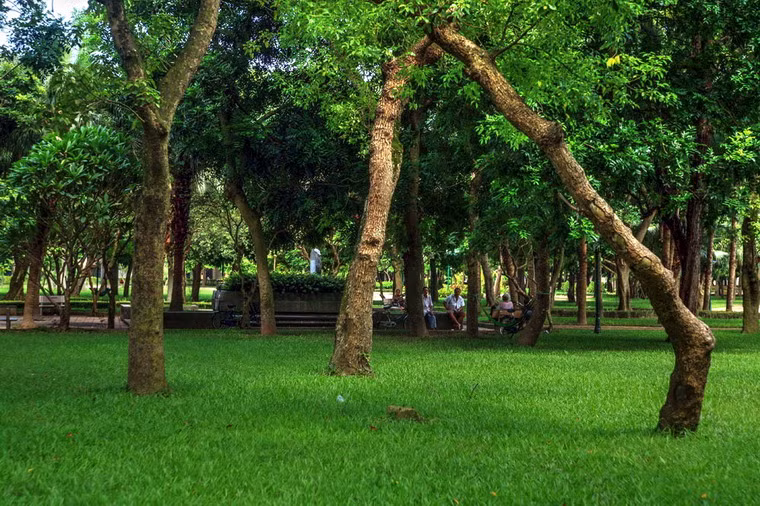 Ở một góc của công viên Vị Xuyên, trung tâm TP Nam Định, có một ngôi mộ rất đặc biệt mà hầu như người dân nào ở nơi đây cũng biết đến.