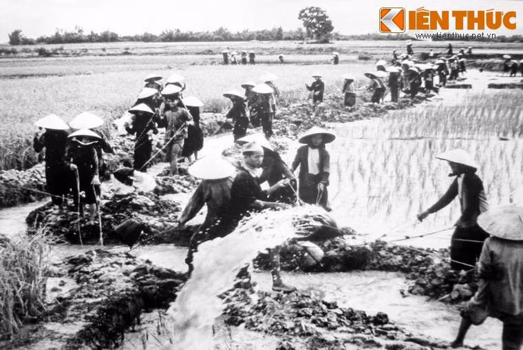 Hợp tác hóa nông nghiệp ở huyện Đông Anh phục vụ công cuộc xây dựng CNXH ở miền Bắc.