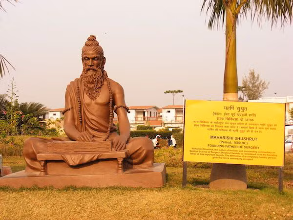 Vào thế kỷ 6 trước Công nguyên, một quyển sách tiếng Phạn mang tên Sushruta Samhita khuyên những người muốn sống thọ nên uống hỗn hợp vàng, mật ong, bột rễ cây và bơ sau khi tắm vào buổi sáng.